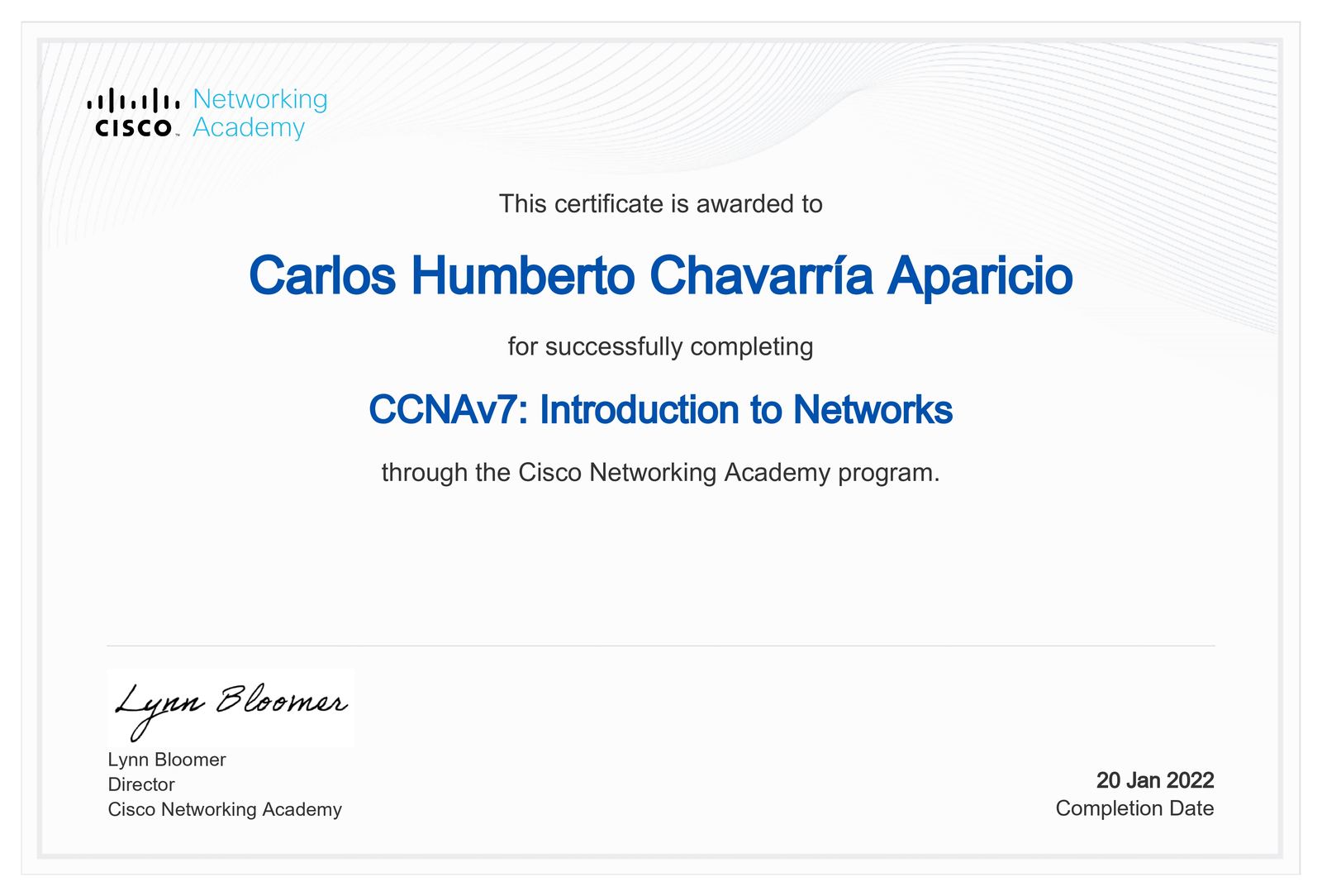Diploma redes